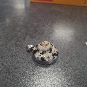Pendentif Cittarium argent (6178)