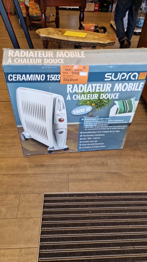 RADIATEUR (13453)