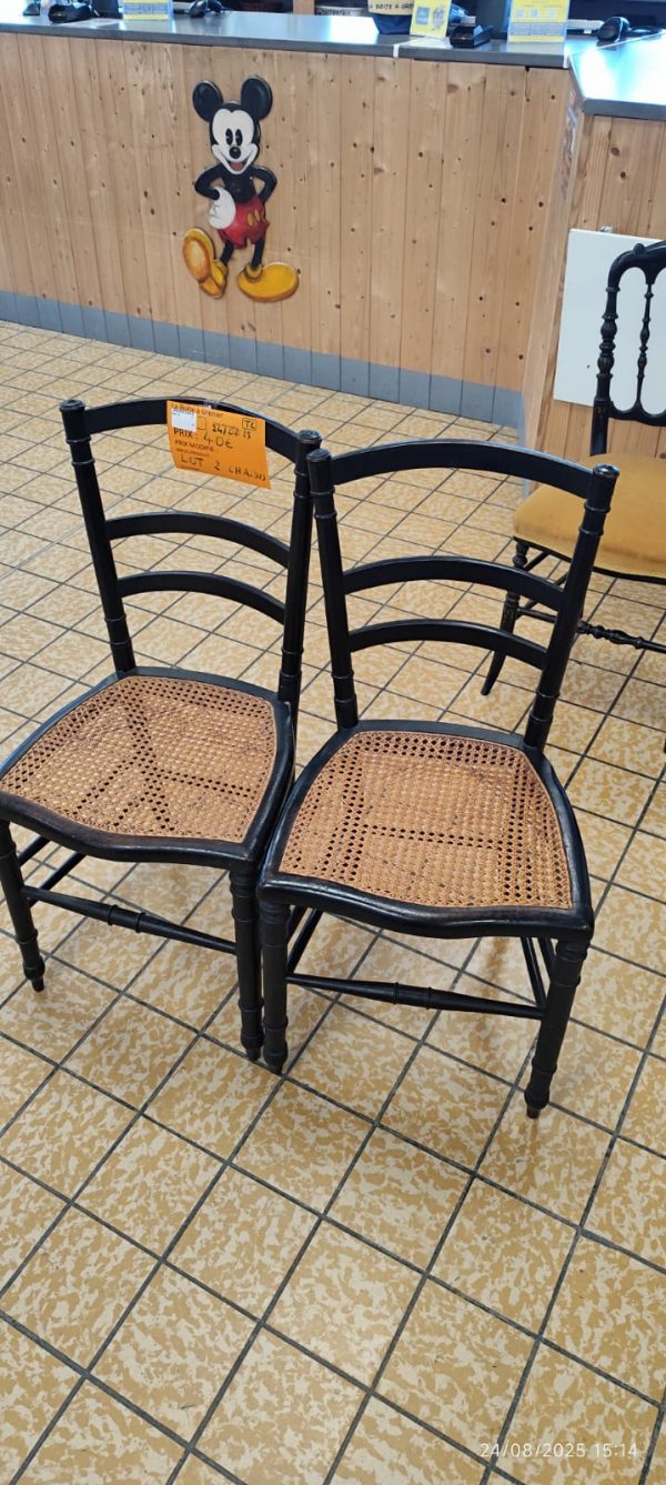 LOT CHAISES (8170)