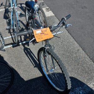 Vélo adulte (11152)