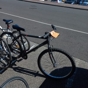Vélo adulte (11152)