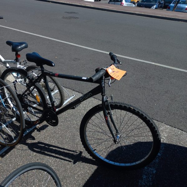 Vélo adulte (11152)