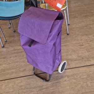 caddie violet (3413).