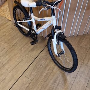 vélo blanc (2729).