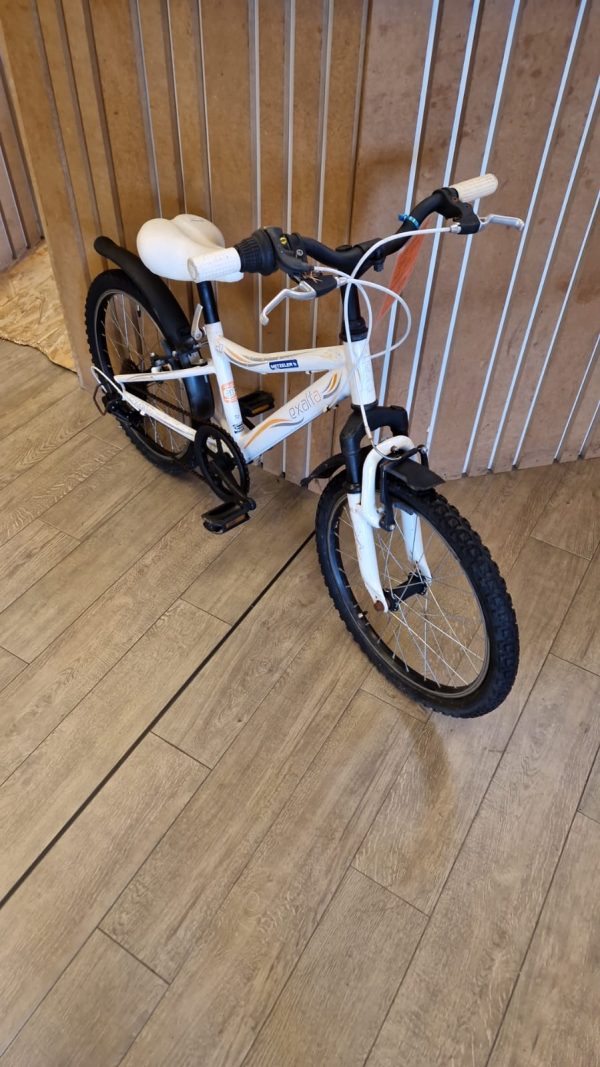 vélo blanc (2729).