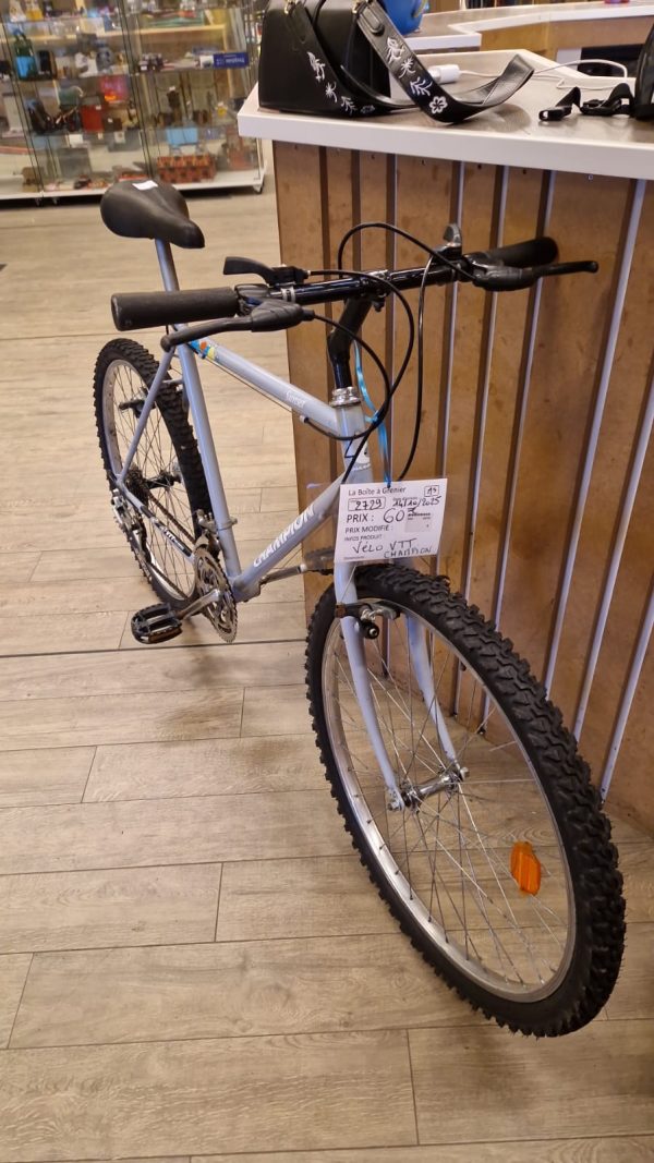 vélo VTT Champion (2729).