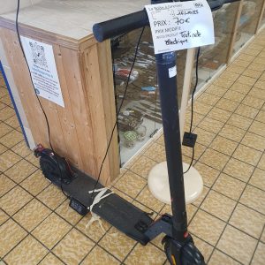TROTINETTE ELECTRIQUE POUR PIECE (3982)