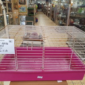 CAGE COCHON D’INDE (4117)