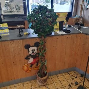 Fausse plante (11296)