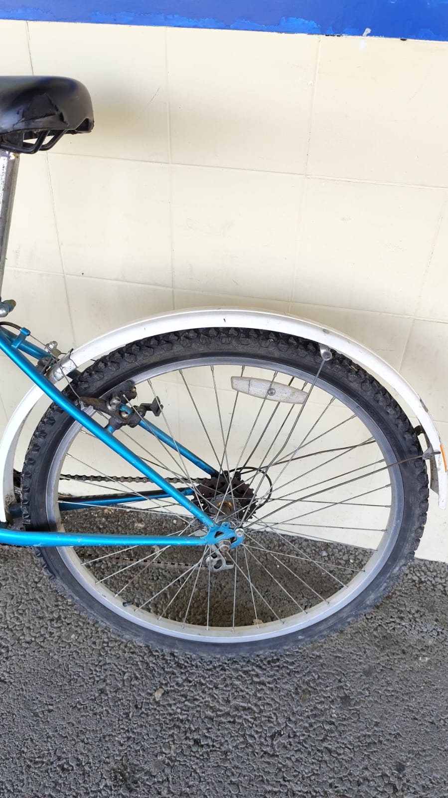 VELO (11437) – Image 3