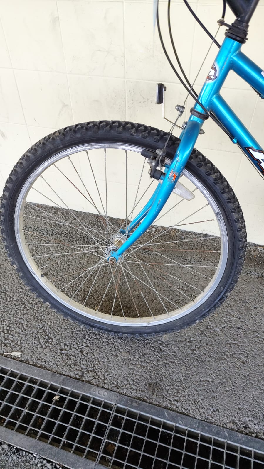 VELO (11437) – Image 2