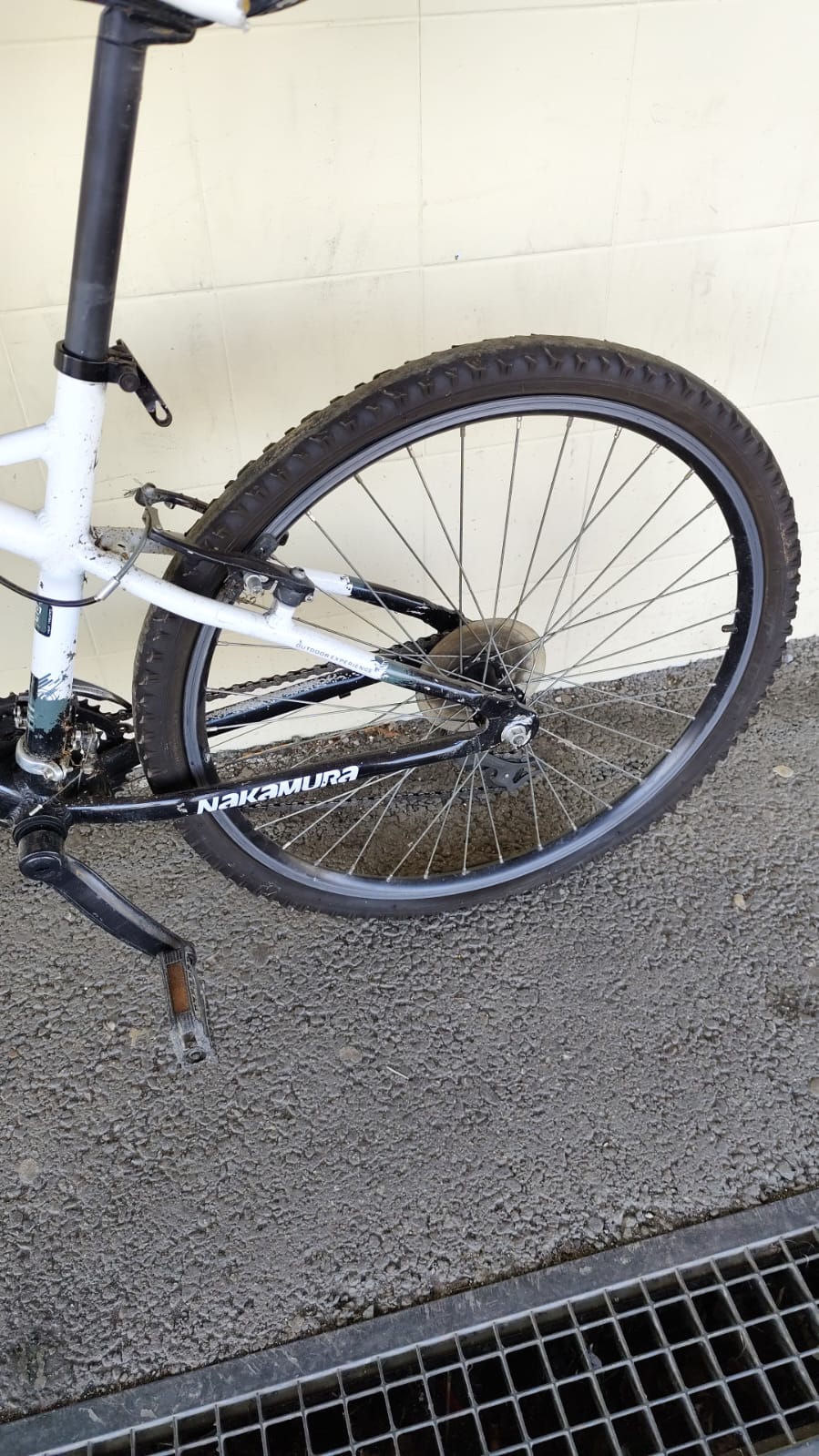 VELO (11437) – Image 3