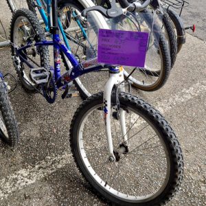 VELO ENFANT BLEU (4117)