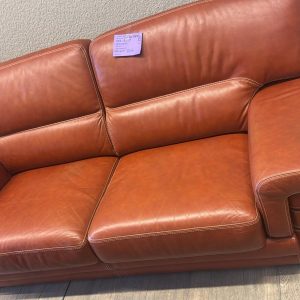 canapé cuir (2834).
