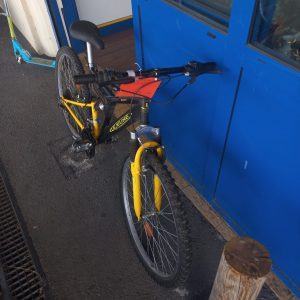 VELO LEJEUNE (12515)